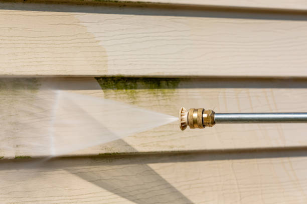 Best Local Pressure Washing Services  in Pato, WA